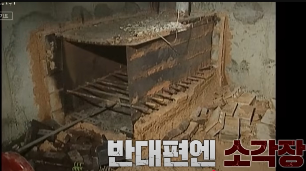 1. 사건의 발단과 조직 결성